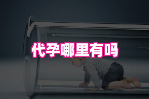 821孕网 1
